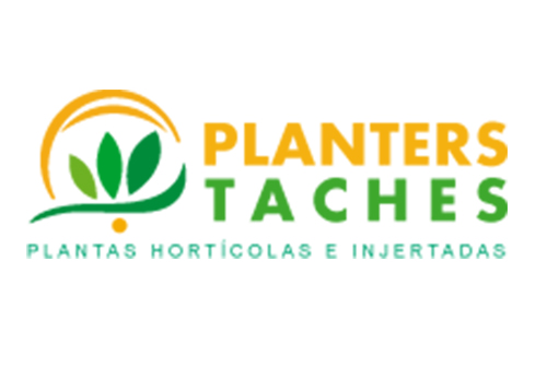 Planter Taches 